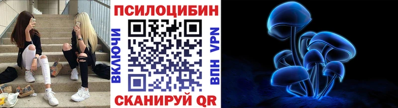Псилоцибиновые грибы Psilocybe  Балей 